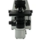 Binocular Biological Microscope